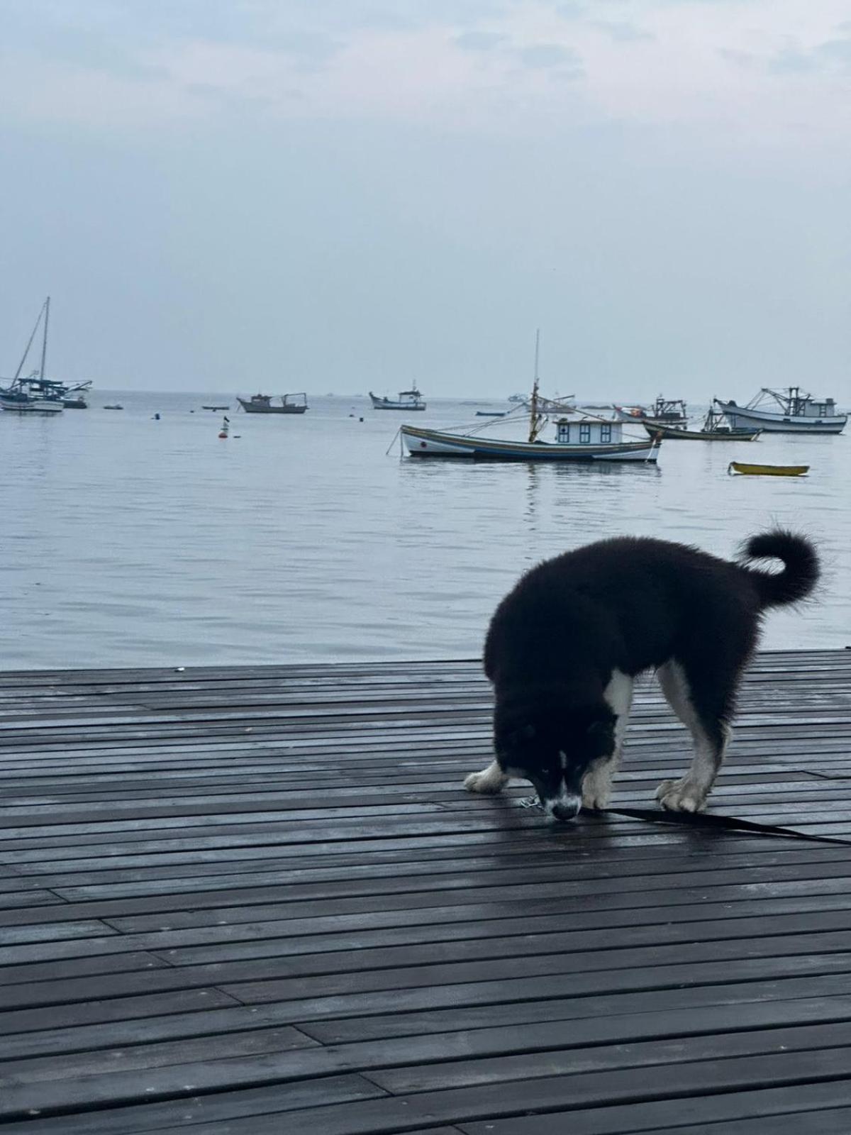 Pousada Refugio Paradisiaco 1 Piçarras Eksteriør billede